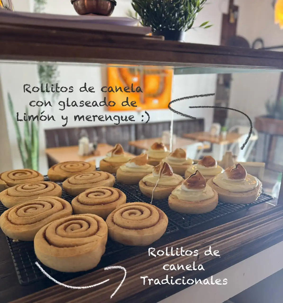 Filosofía Killari