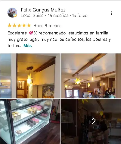 Reseña Google 3